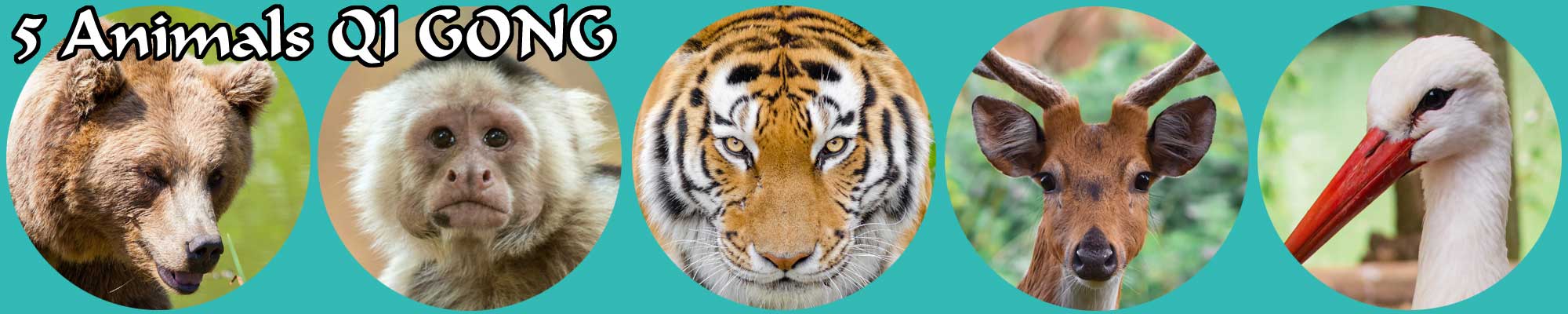 tiger bear monkey deer stork image - 5 Animals QI GONG Online Energy course for Health Wellness Consciousness Expansion